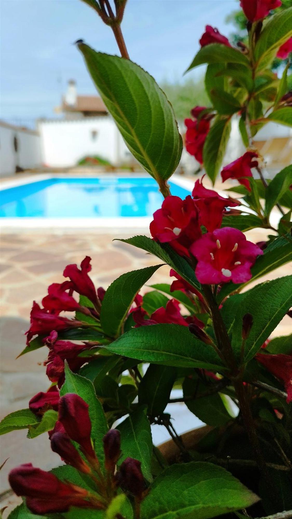 Villa "Pied-A-Terre" Residence & Spa Umag Ngoại thất bức ảnh