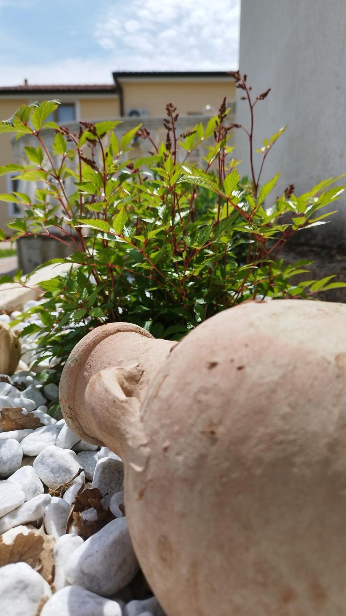 Villa "Pied-A-Terre" Residence & Spa Umag Ngoại thất bức ảnh