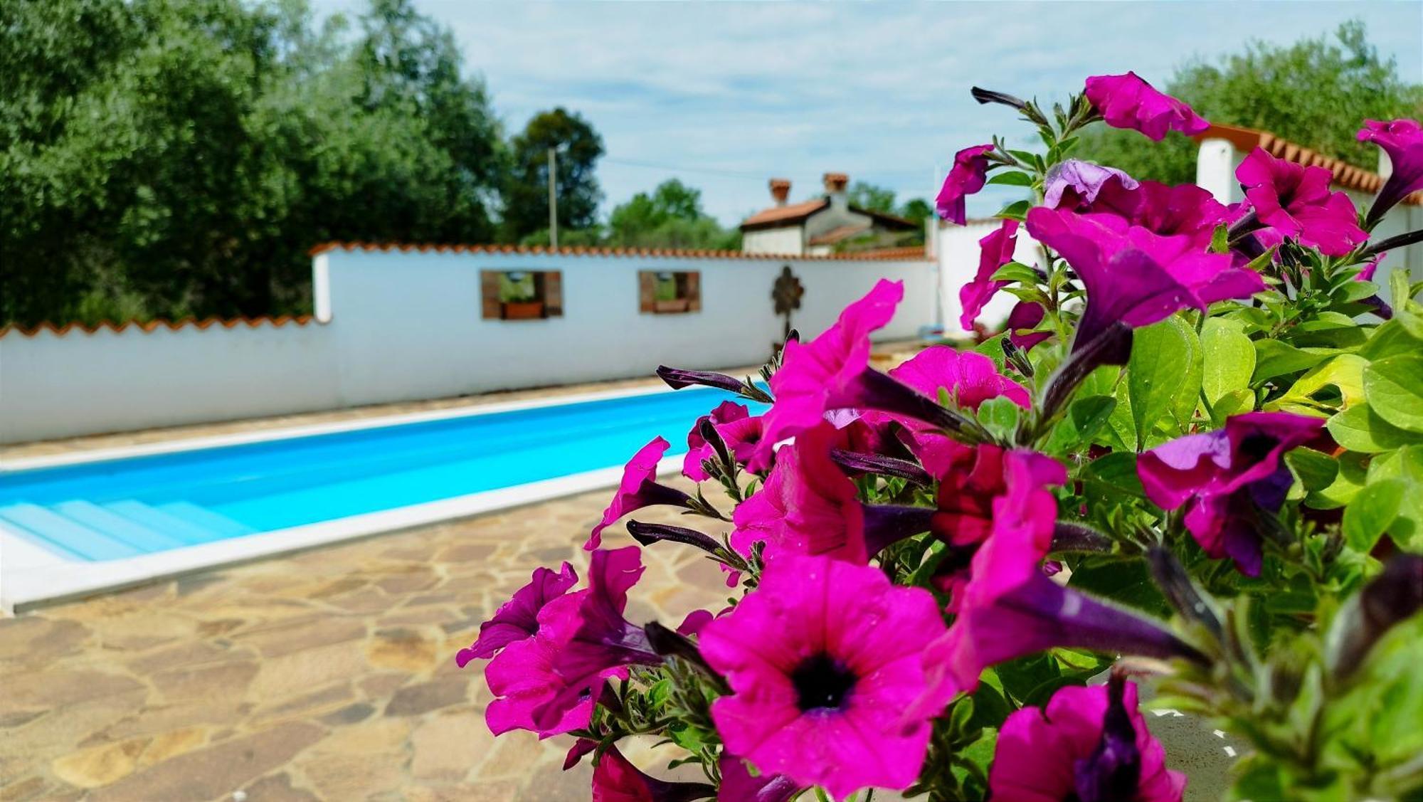Villa "Pied-A-Terre" Residence & Spa Umag Ngoại thất bức ảnh